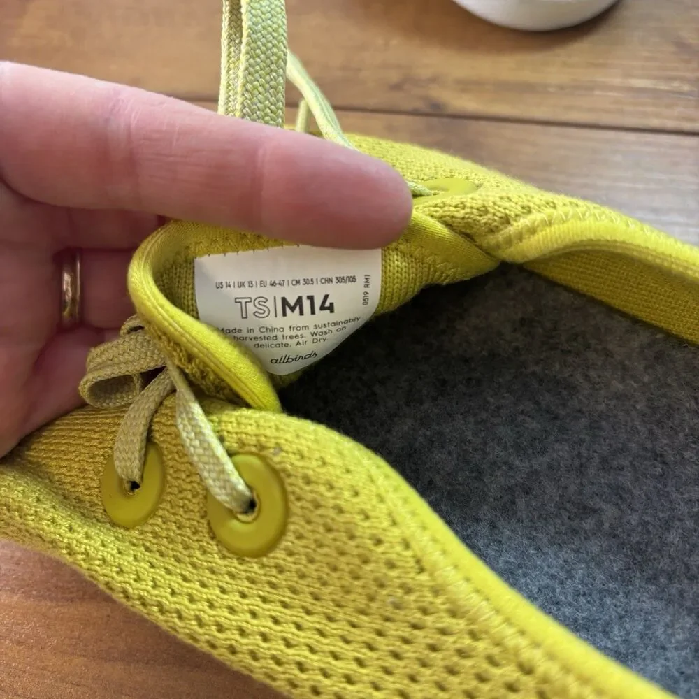 allbirds men tree
